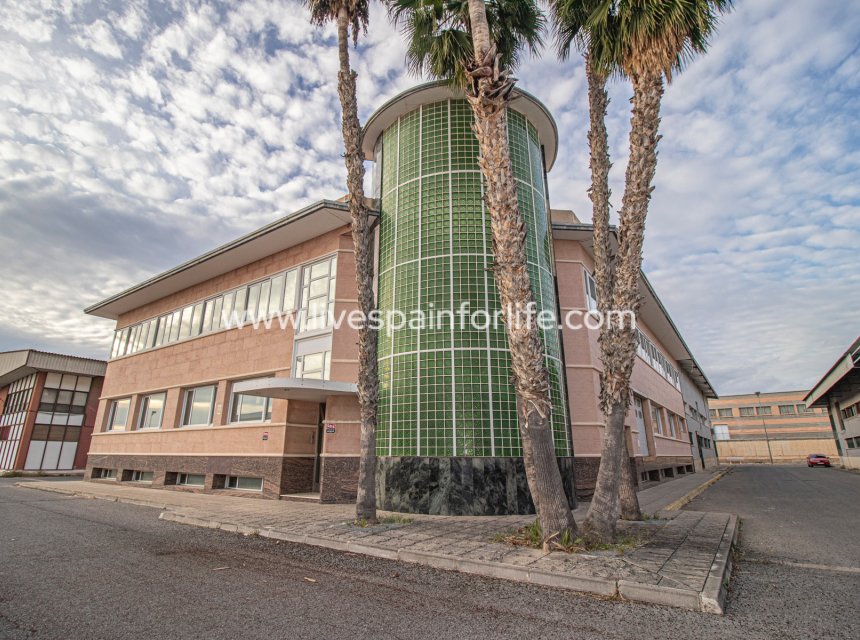 Revente - Commercial -
Elche