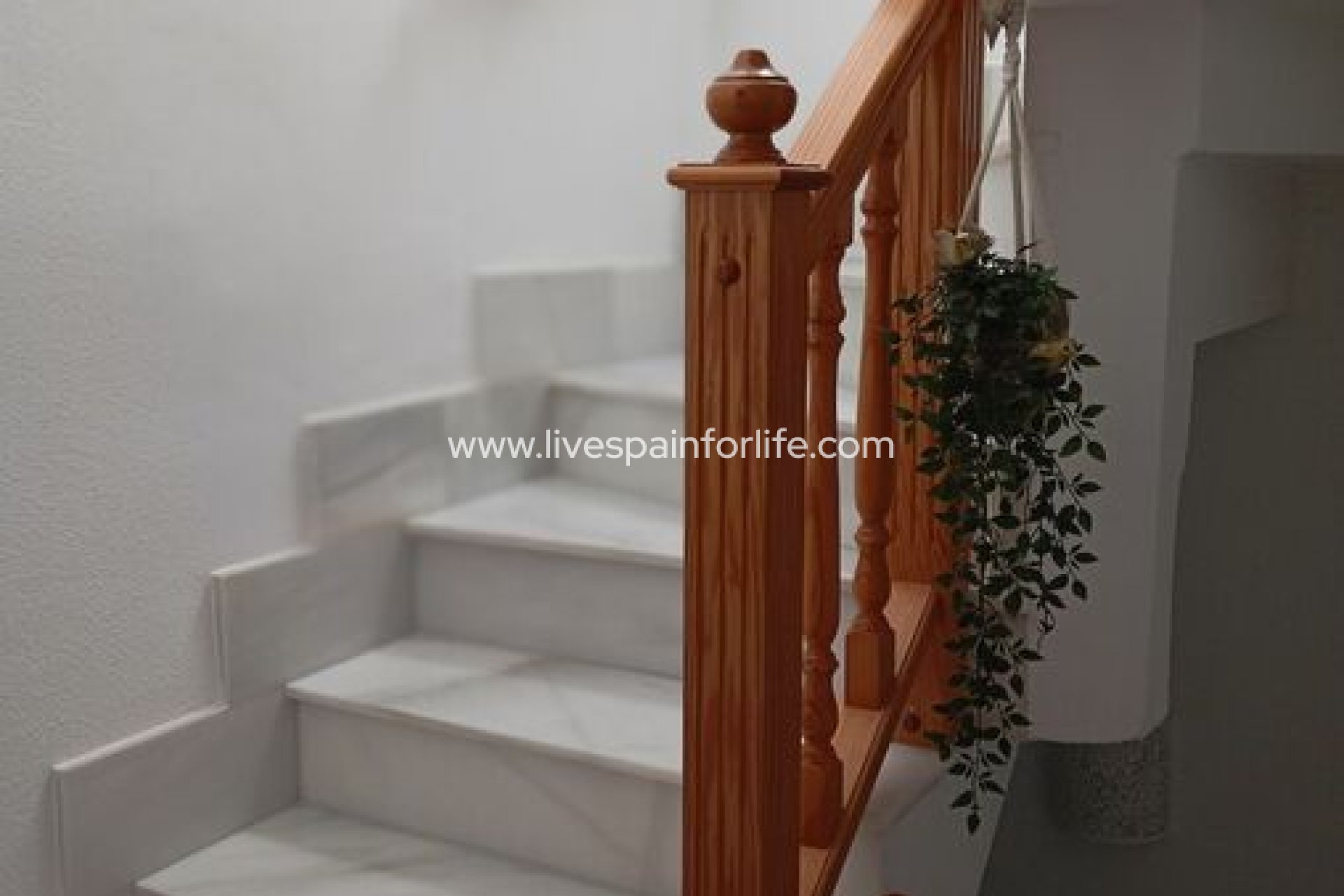 Revente - Duplex -
Daya Vieja