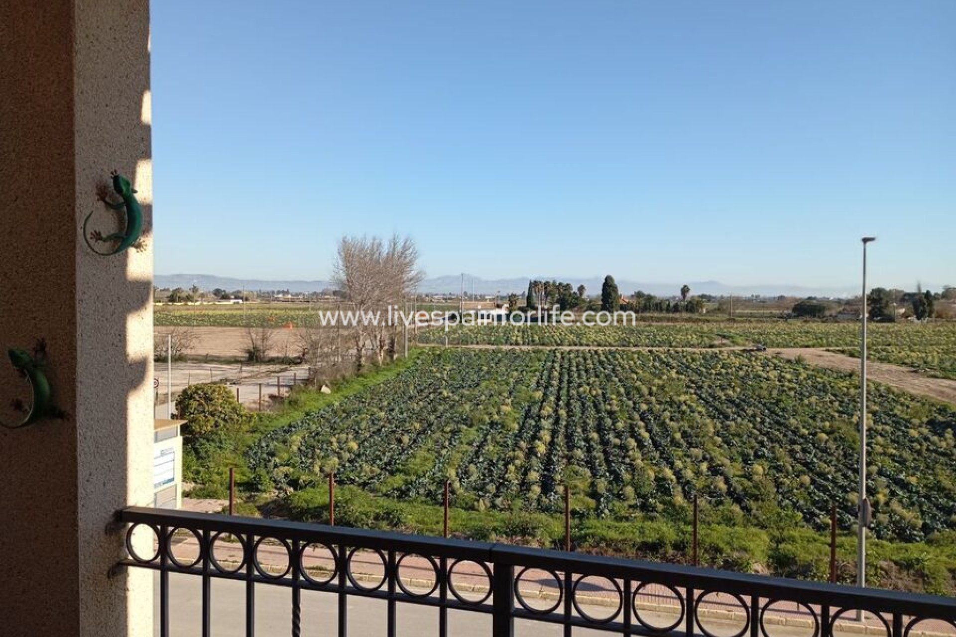 Revente - Duplex -
Daya Vieja