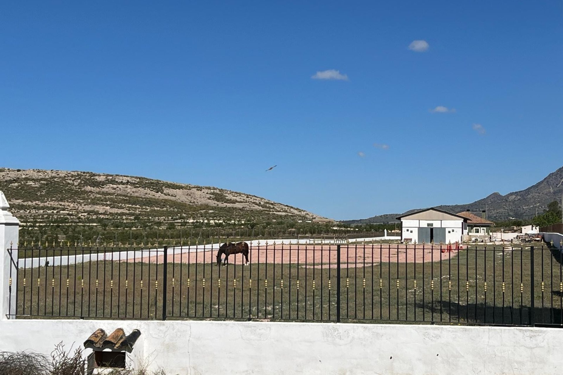 Revente - Equestrian -
Jumilla - Torre del Rico