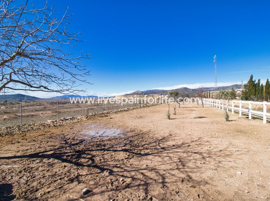 Revente - Equestrian -
Monovar - Monóver