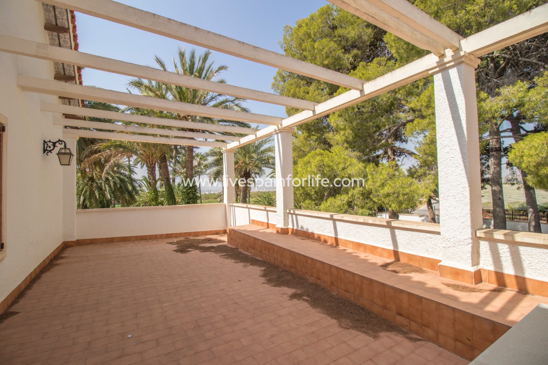 Revente - Equestrian -
Novelda