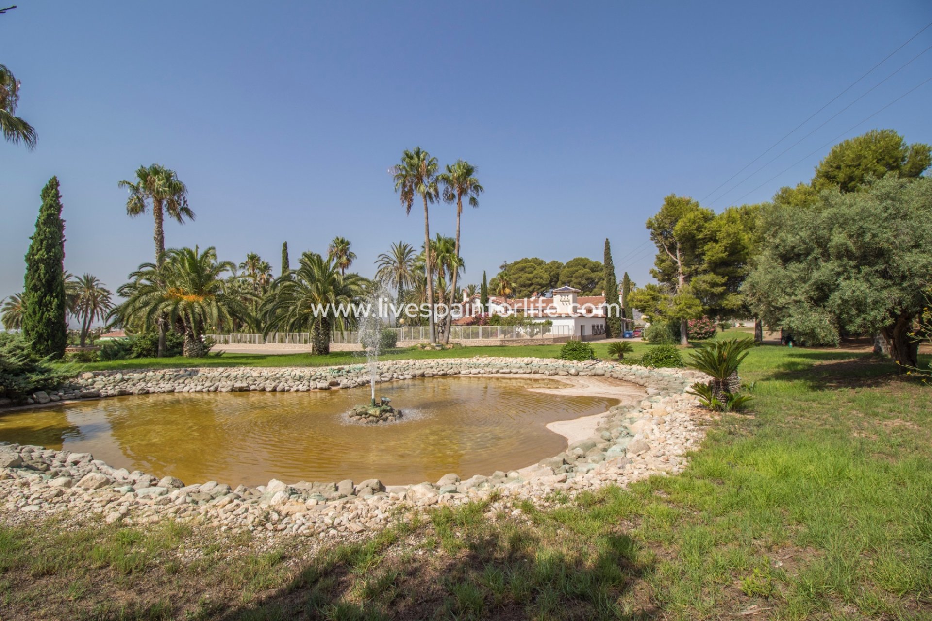 Revente - Equestrian -
Novelda