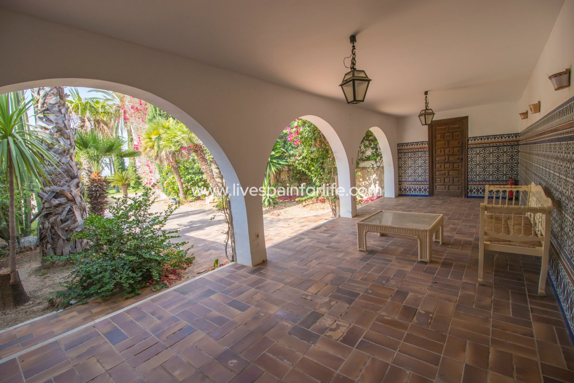 Revente - Equestrian -
Novelda