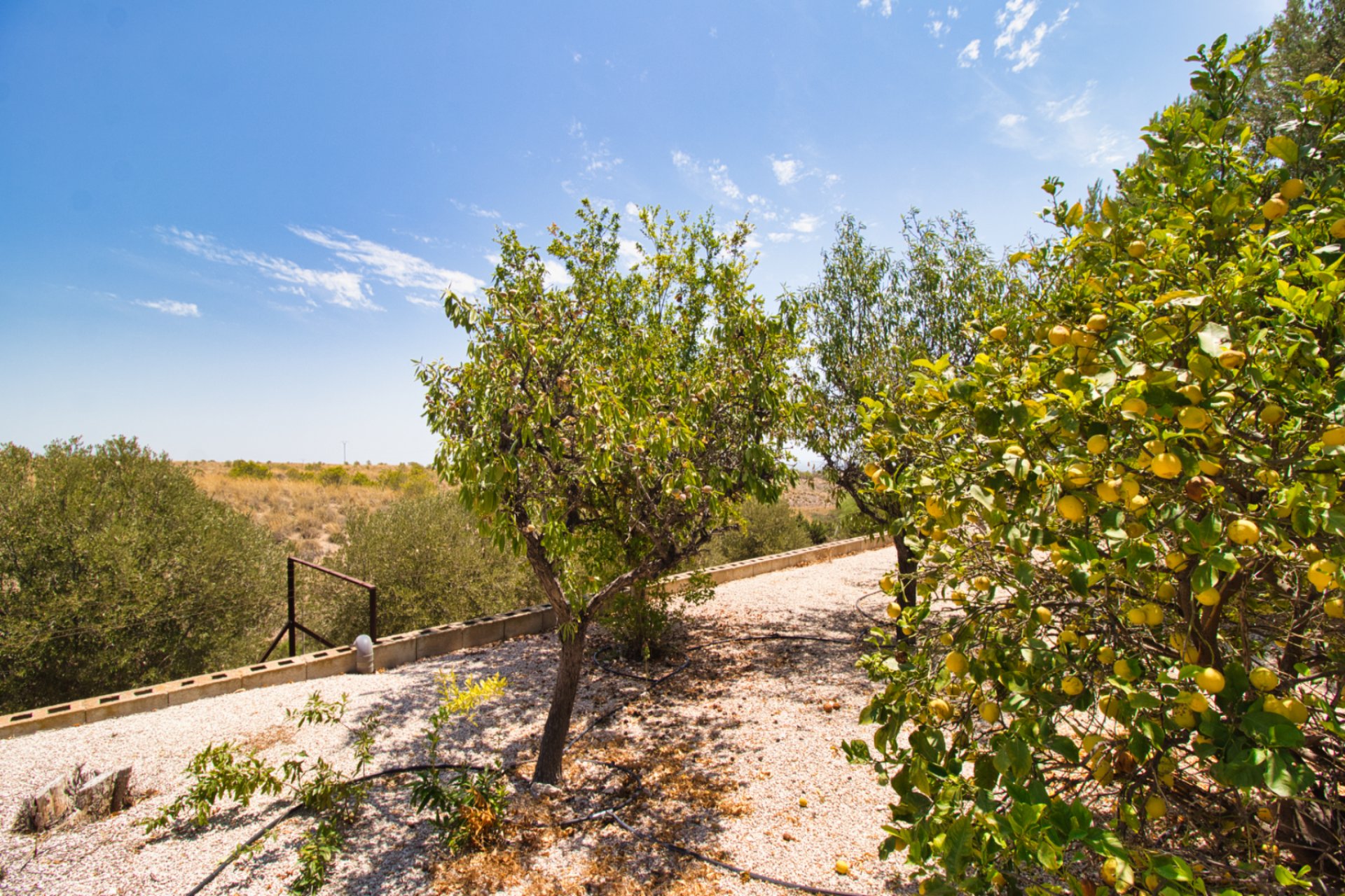 Revente - Maison de campagne -
Albatera