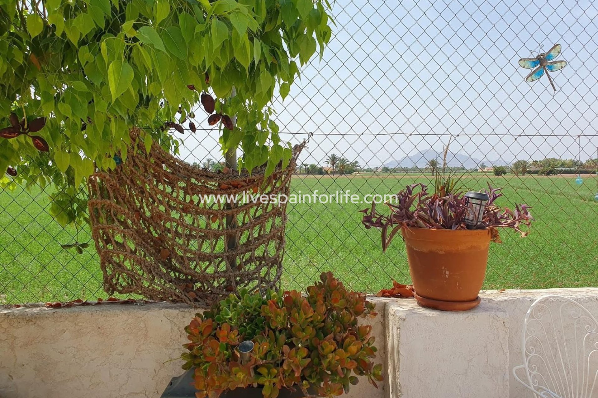 Revente - Maison de campagne -
Alicante