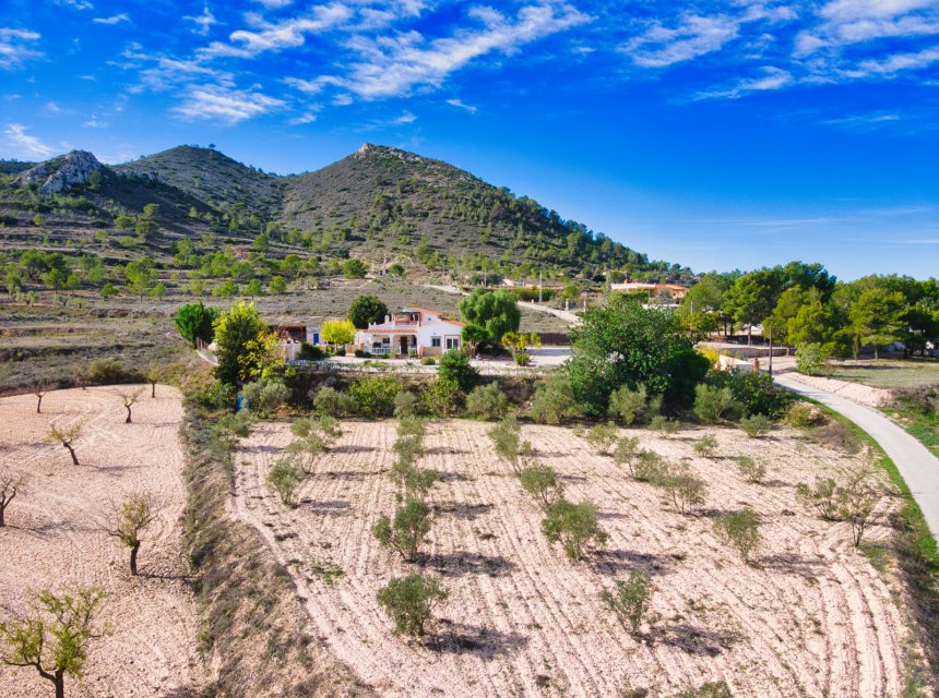 Revente - Maison de campagne -
Alicante