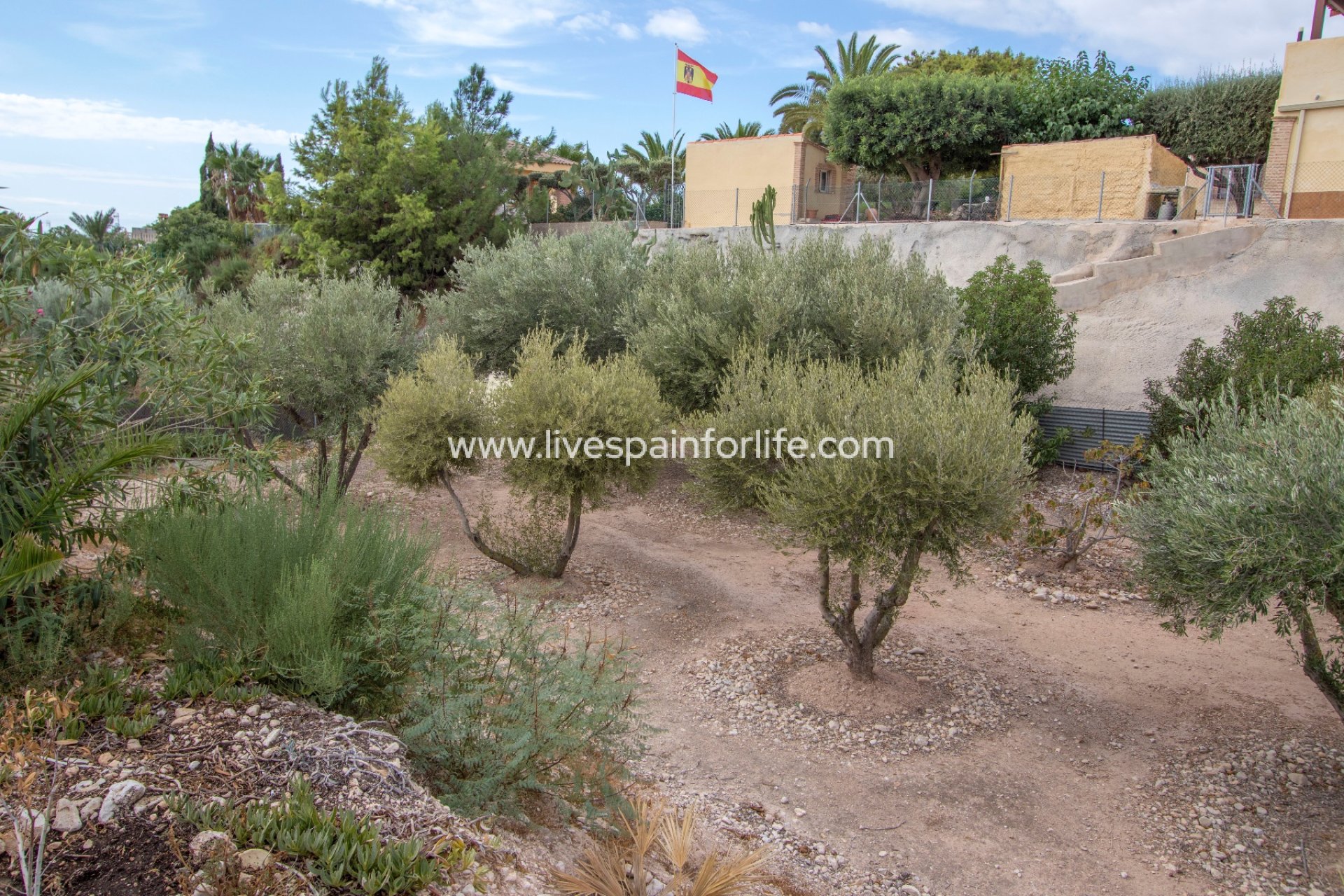 Revente - Maison de campagne -
Alicante