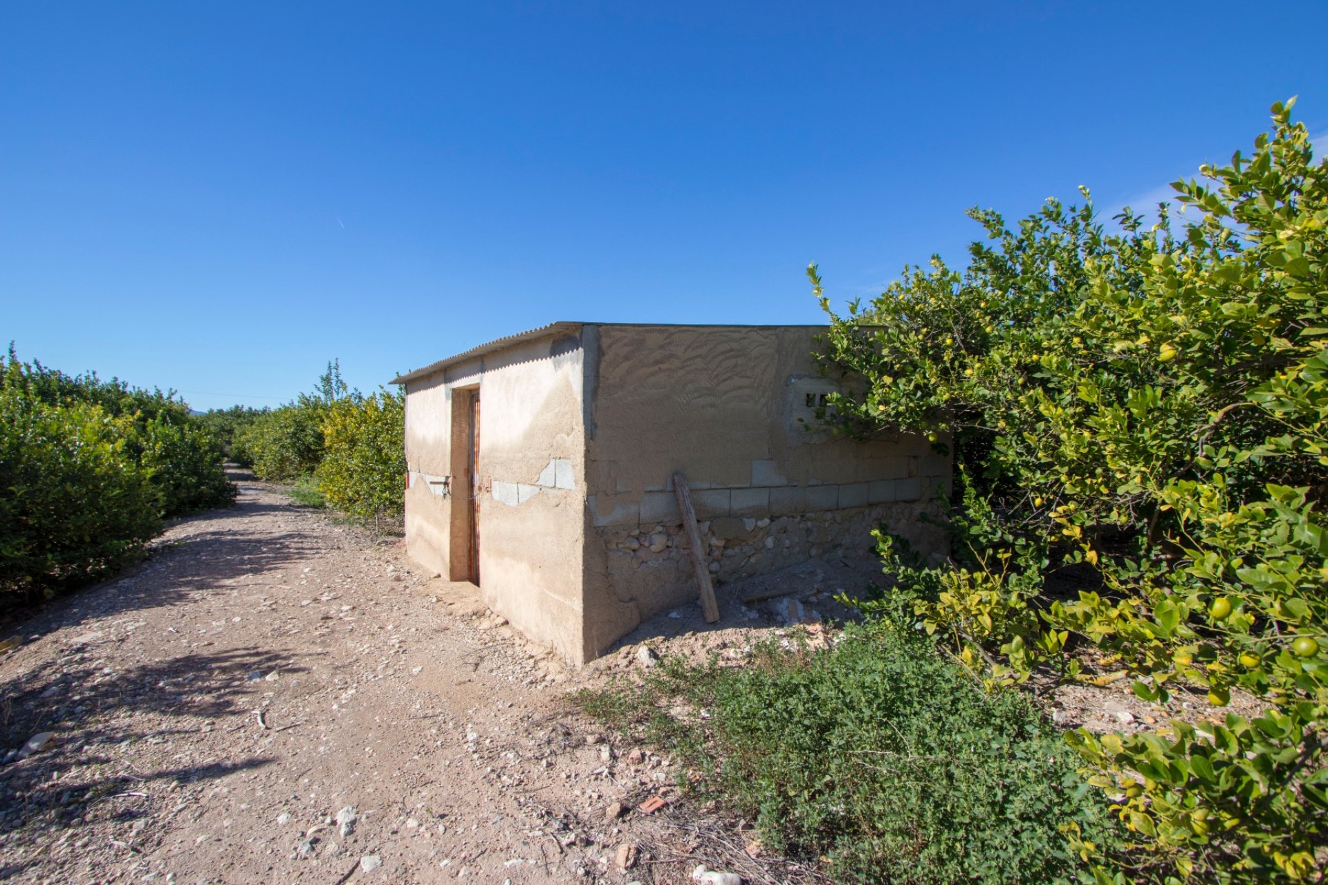 Revente - Maison de campagne -
Alicante