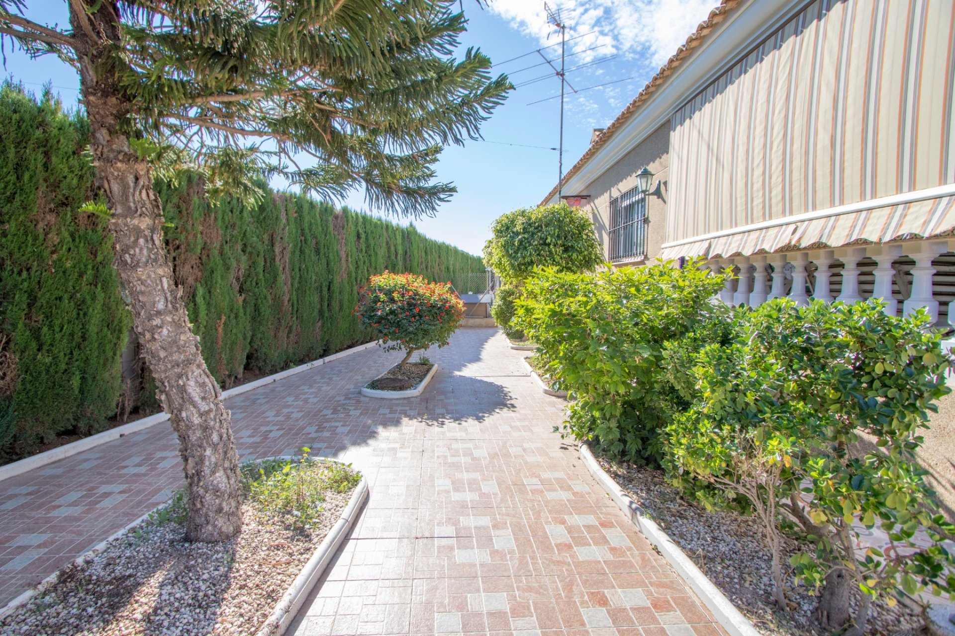 Revente - Maison de campagne -
Alicante