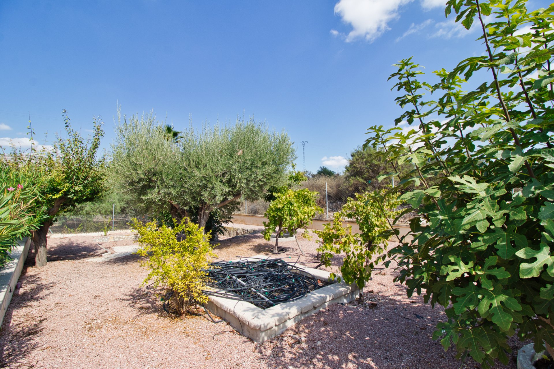 Revente - Maison de campagne -
Alicante