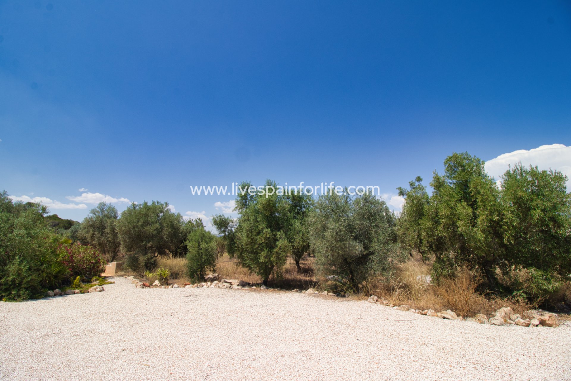 Revente - Maison de campagne -
Alicante