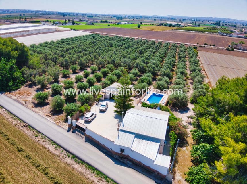 Revente - Maison de campagne -
Alicante