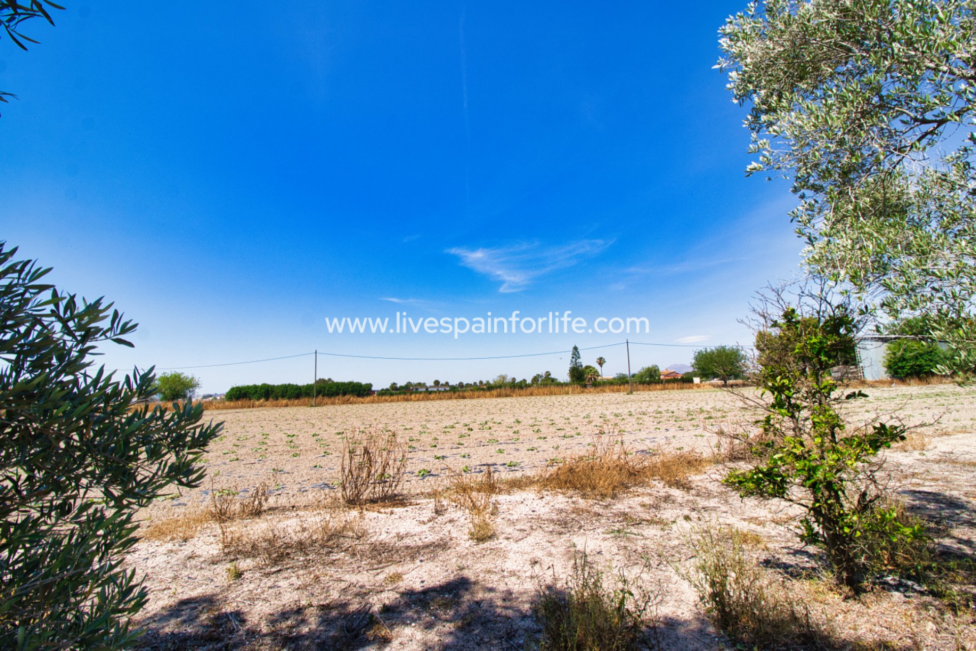 Revente - Maison de campagne -
Alicante