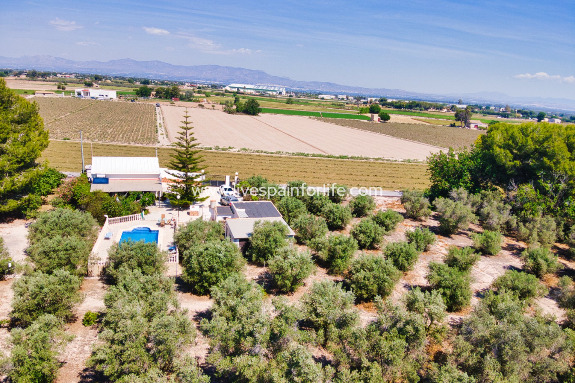 Revente - Maison de campagne -
Alicante