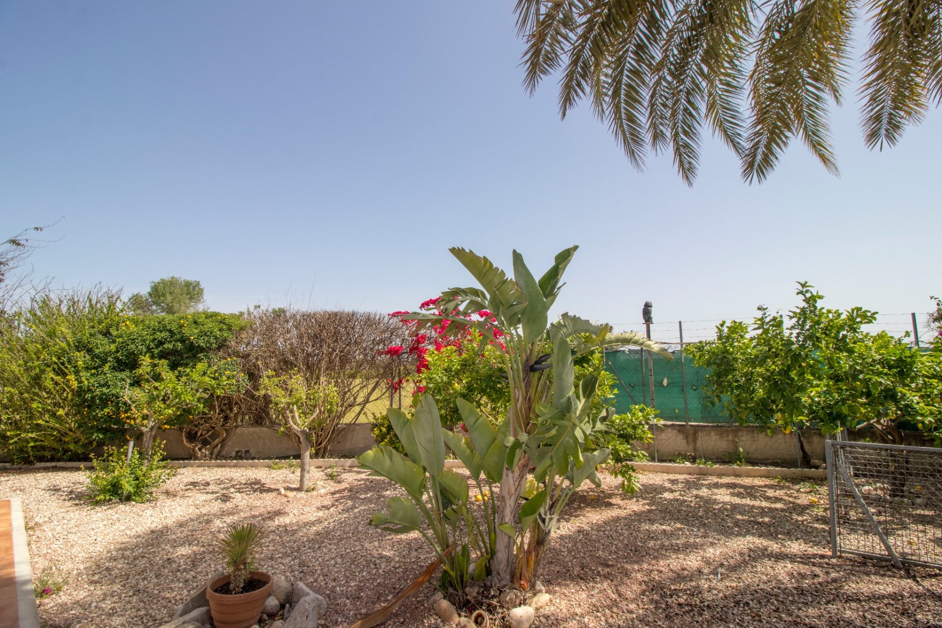 Revente - Maison de campagne -
Alicante