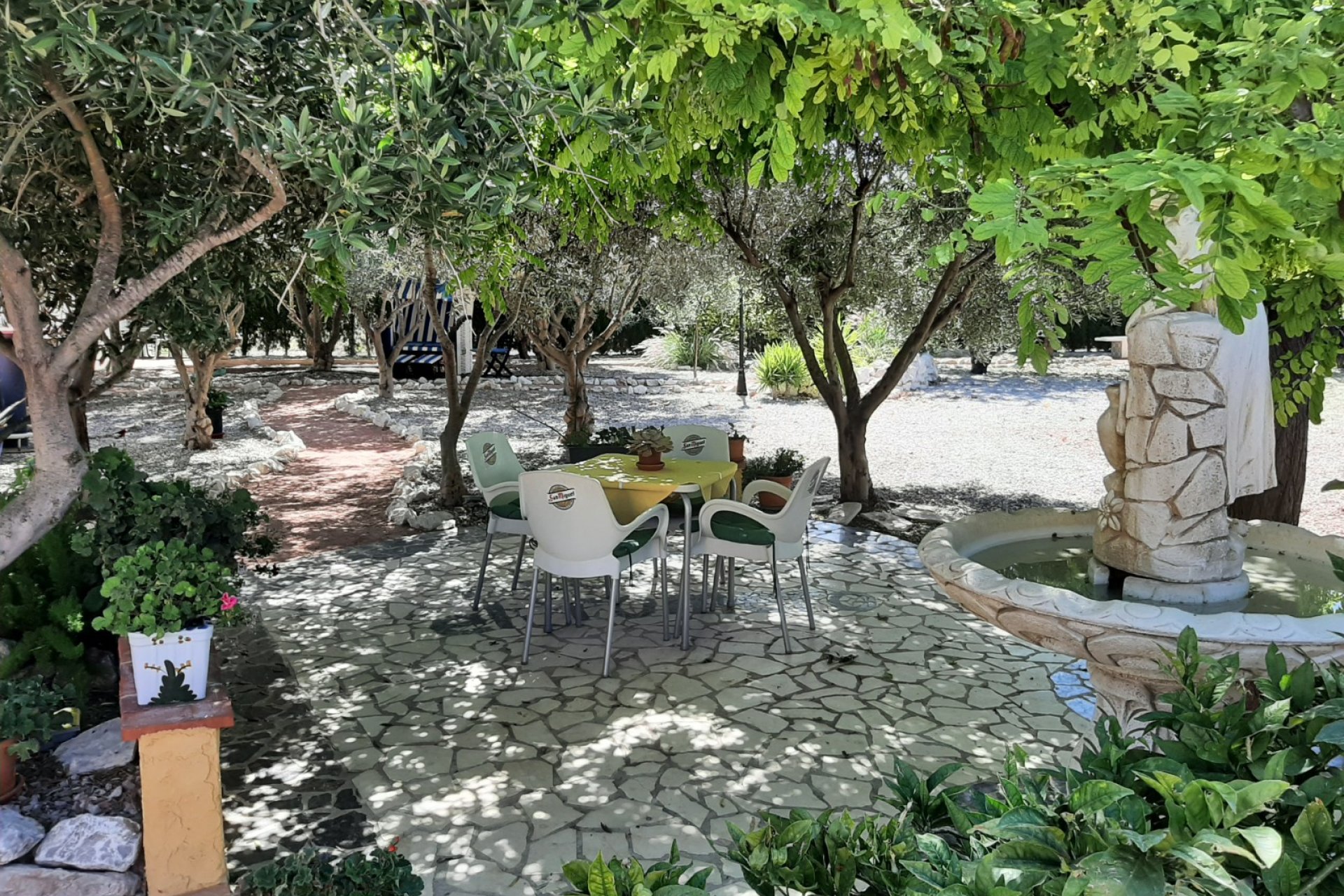 Revente - Maison de campagne -
Alicante