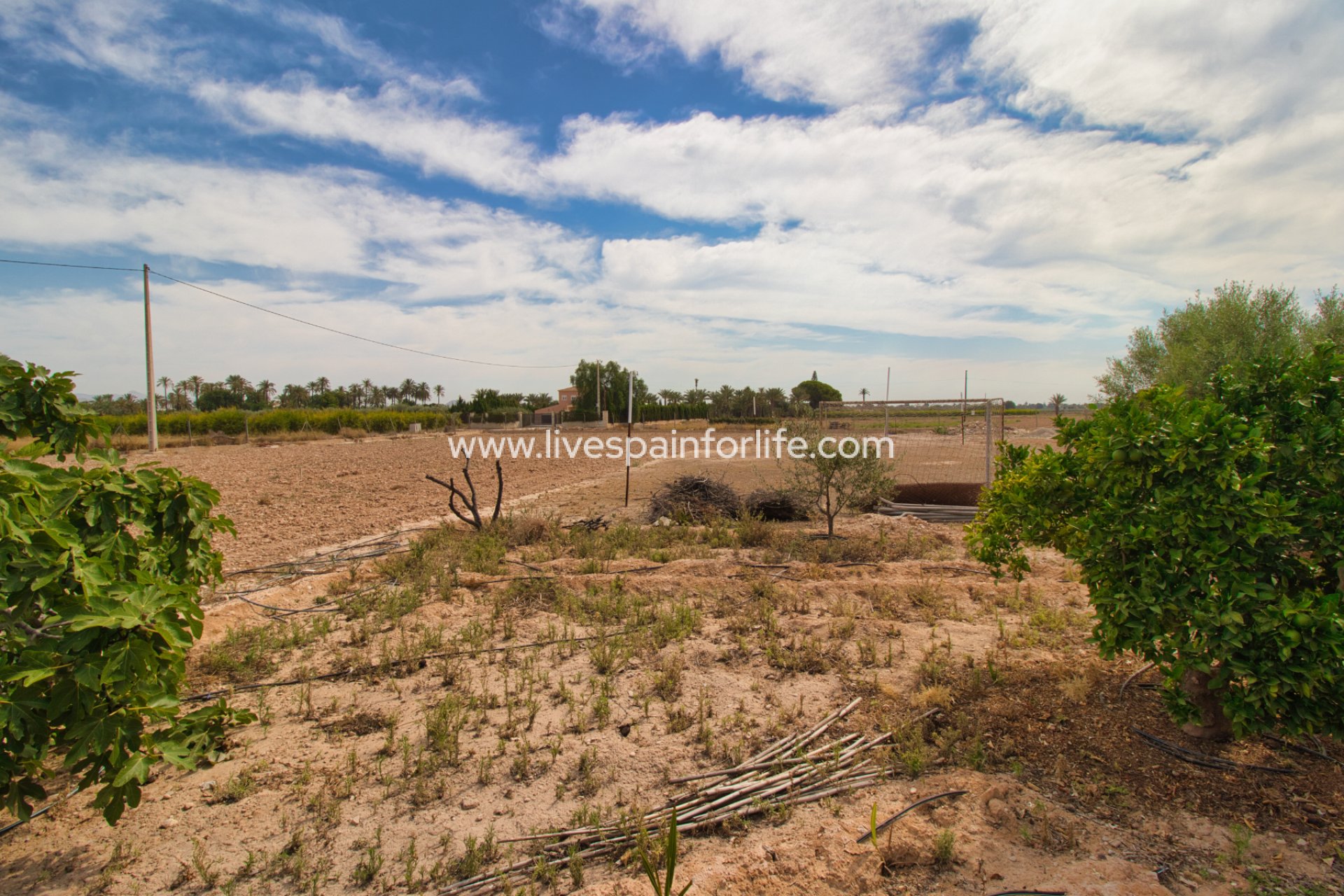 Revente - Maison de campagne -
Alicante