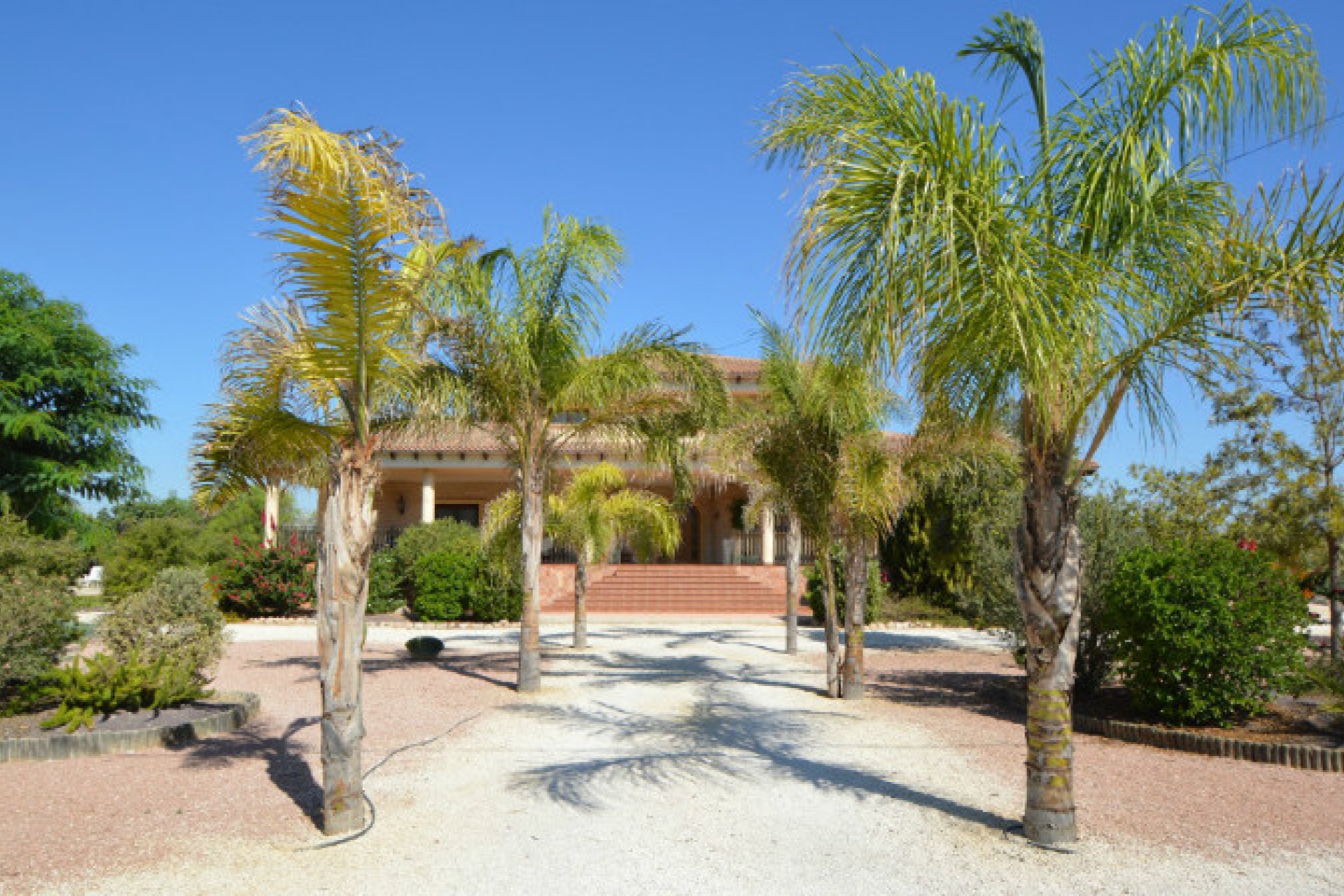 Revente - Maison de campagne -
Callosa De Segura - Callosa de Segura