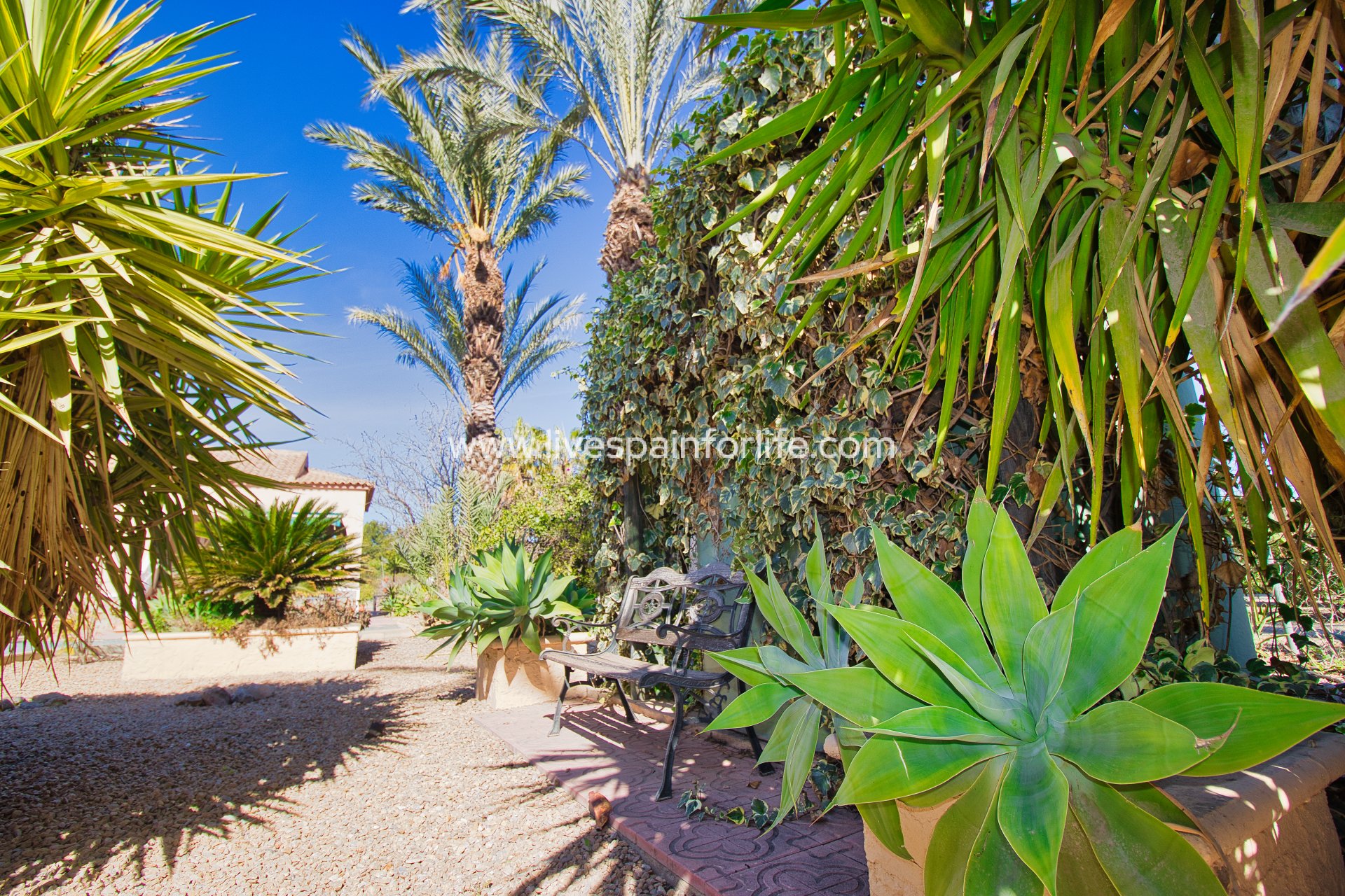 Revente - Maison de campagne -
Callosa De Segura - Callosa de Segura