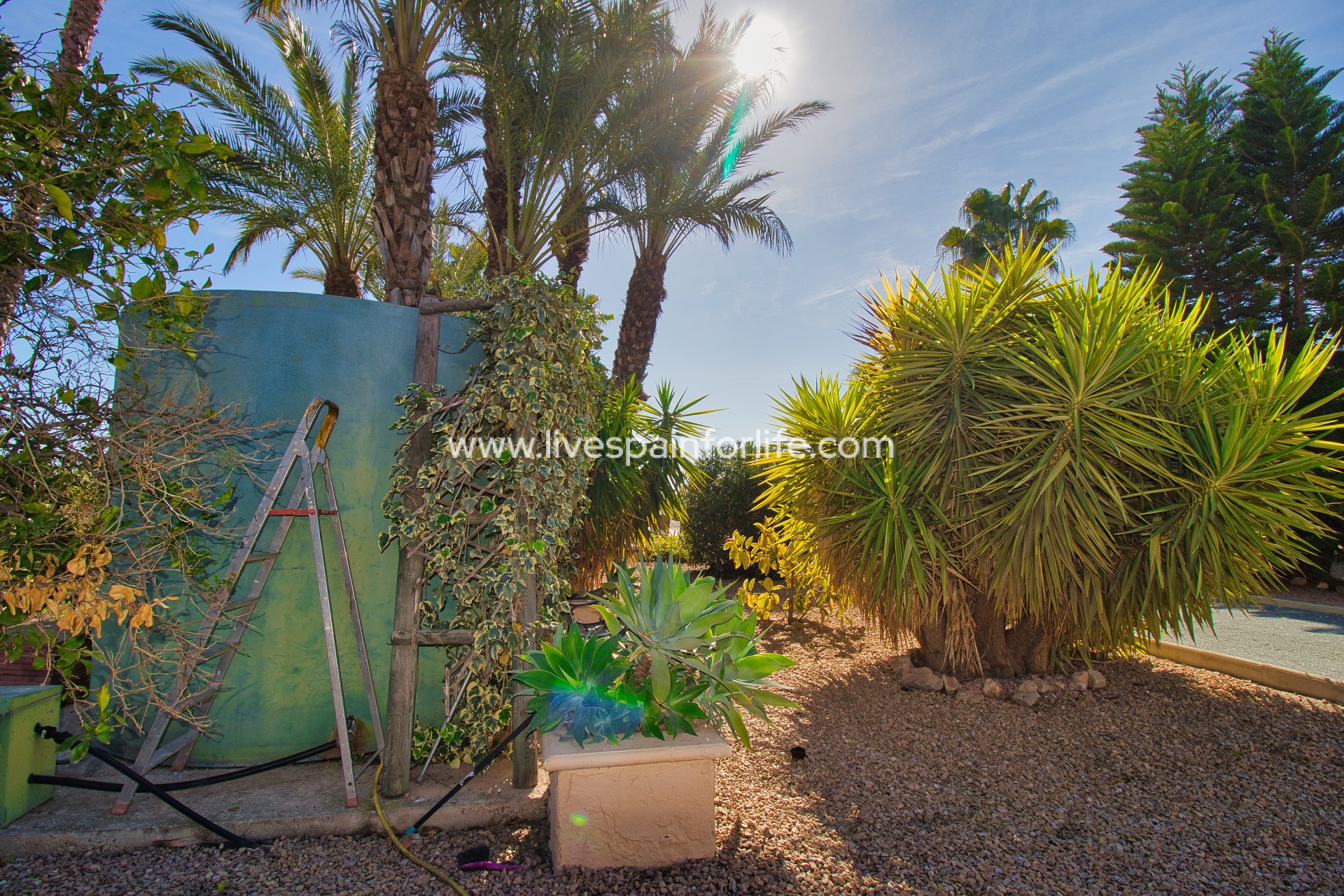 Revente - Maison de campagne -
Callosa De Segura - Callosa de Segura