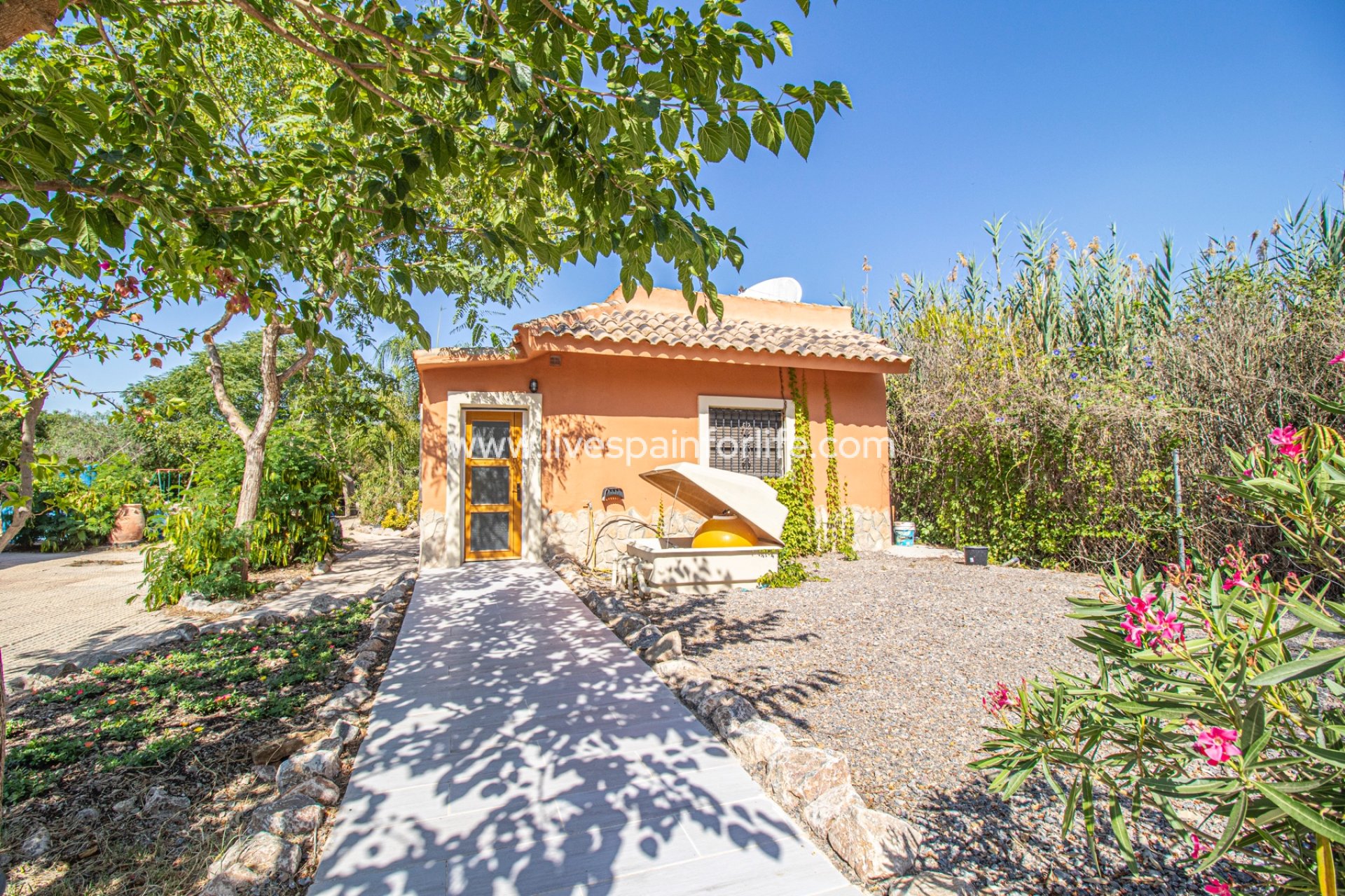 Revente - Maison de campagne -
Catral