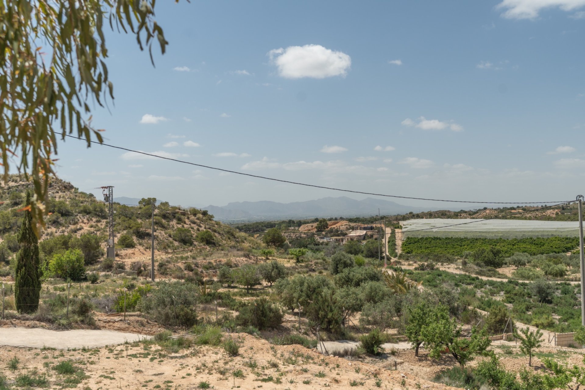 Revente - Maison de campagne -
Crevillent