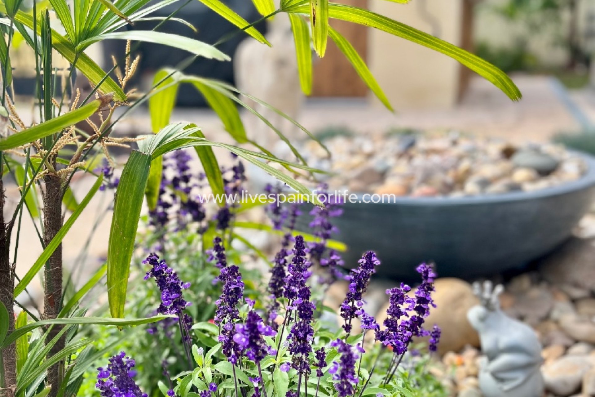 Revente - Maison de campagne -
Dolores