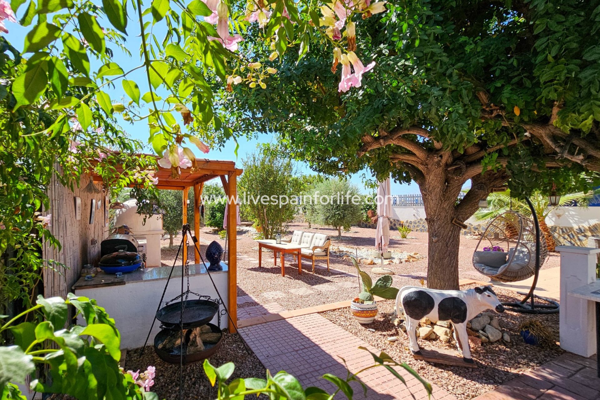 Revente - Maison de campagne -
El Realengo