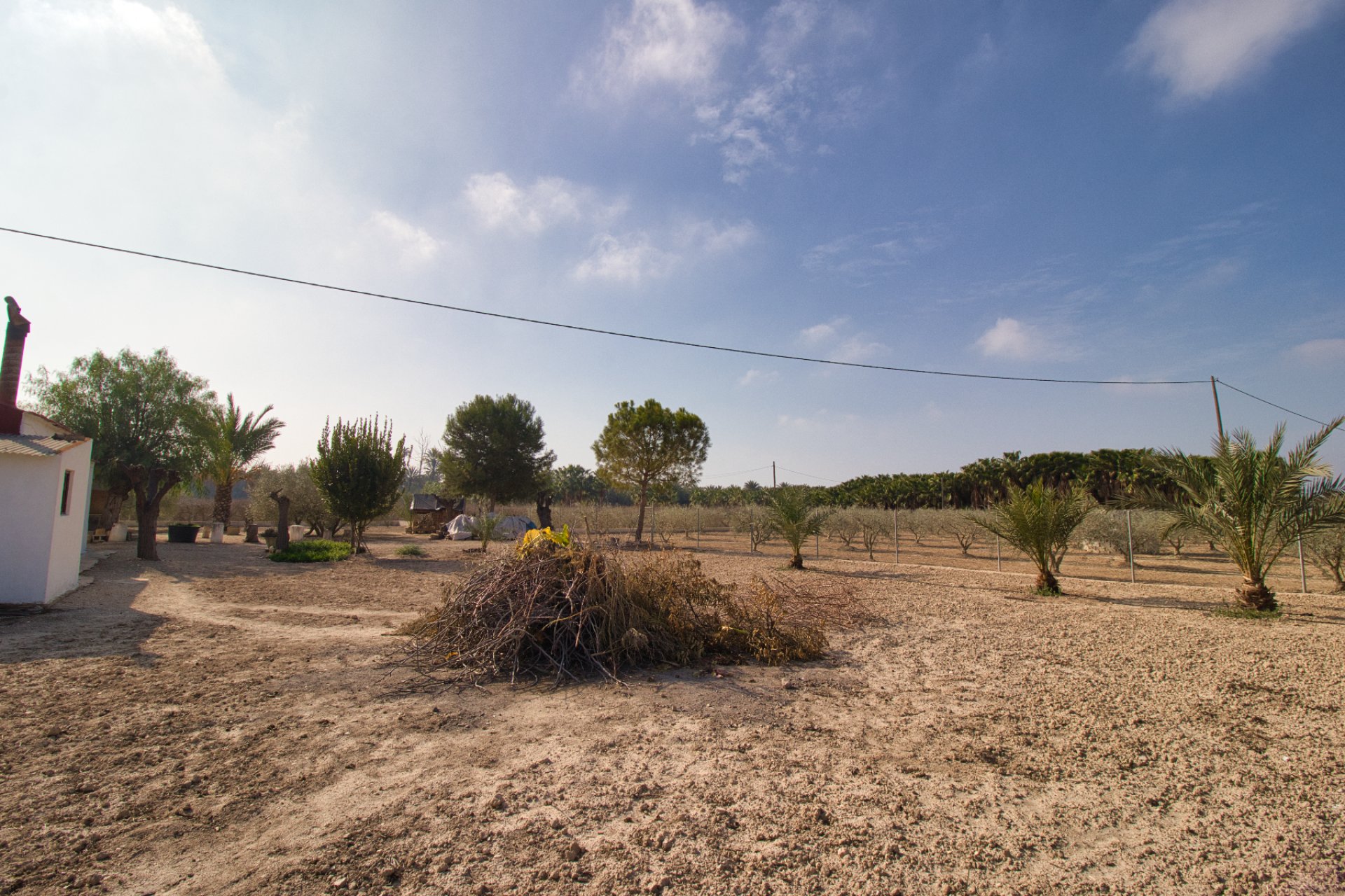 Revente - Maison de campagne -
Elche