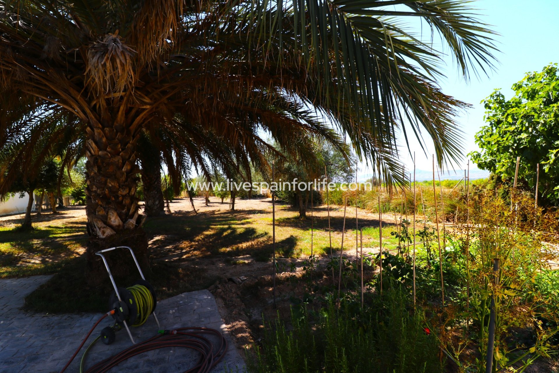 Revente - Maison de campagne -
Granja de Rocamora