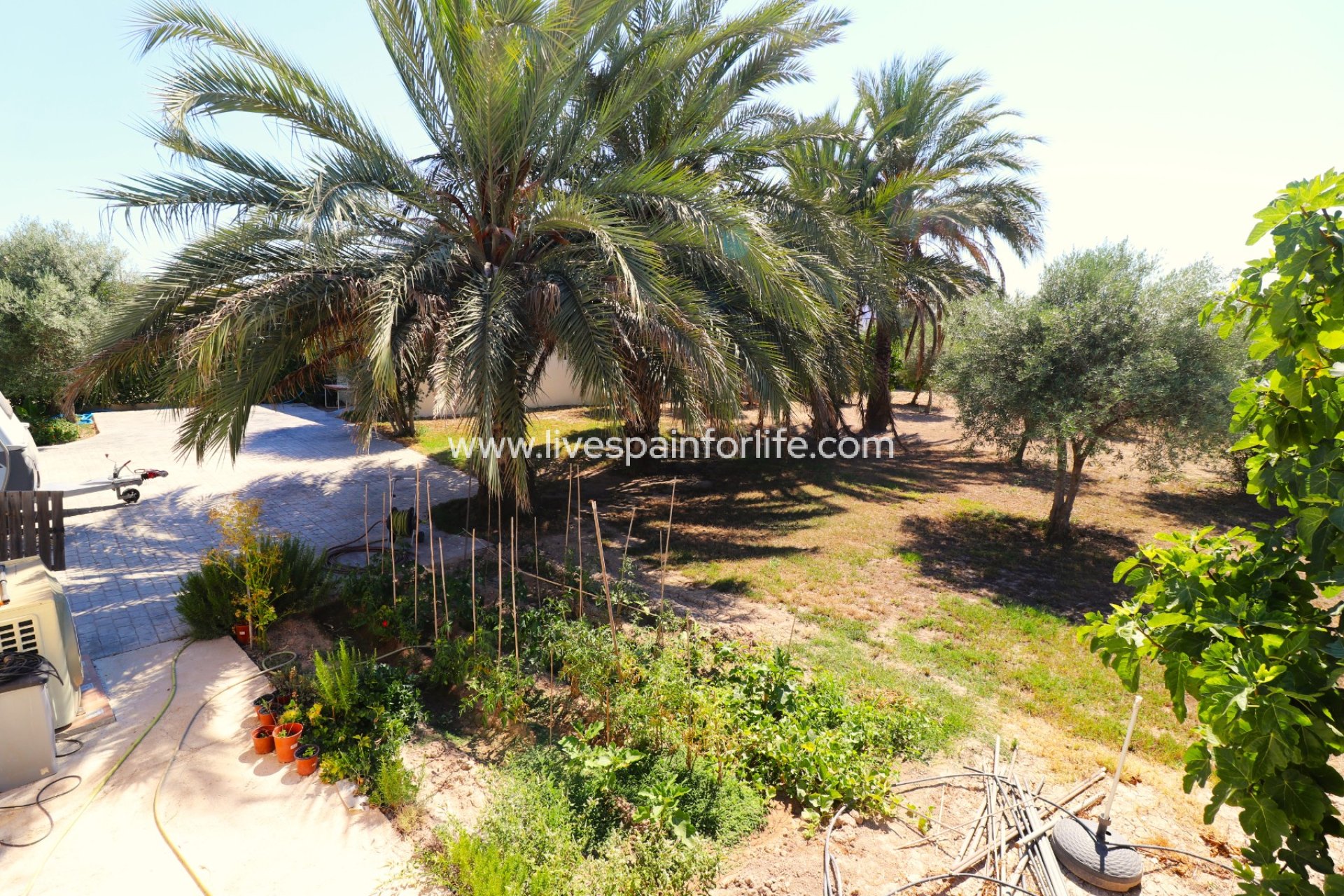 Revente - Maison de campagne -
Granja de Rocamora