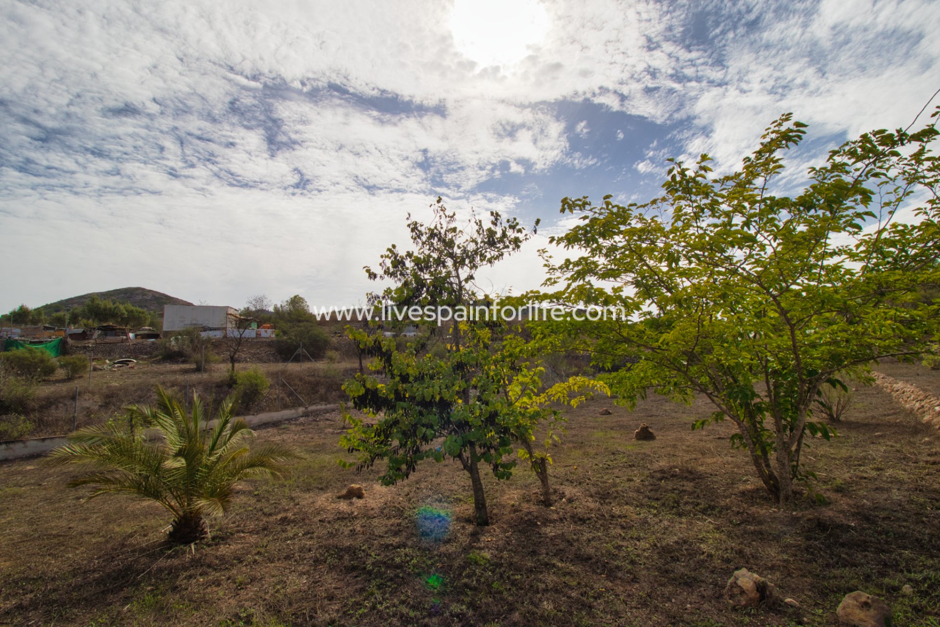 Revente - Maison de campagne -
Hondon De Las Nieves - Hondon De Los Frailes