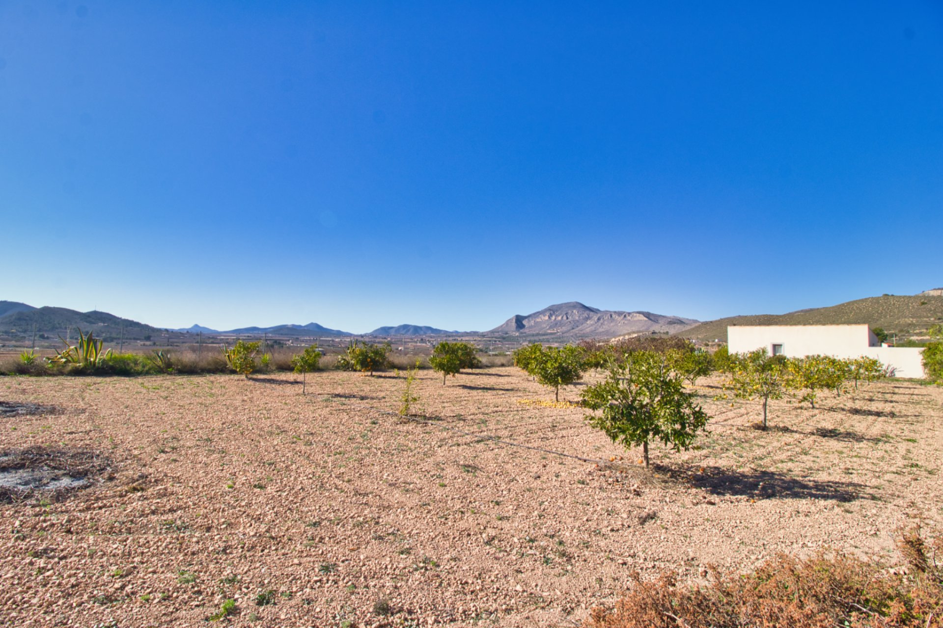 Revente - Maison de campagne -
Hondon De Las Nieves