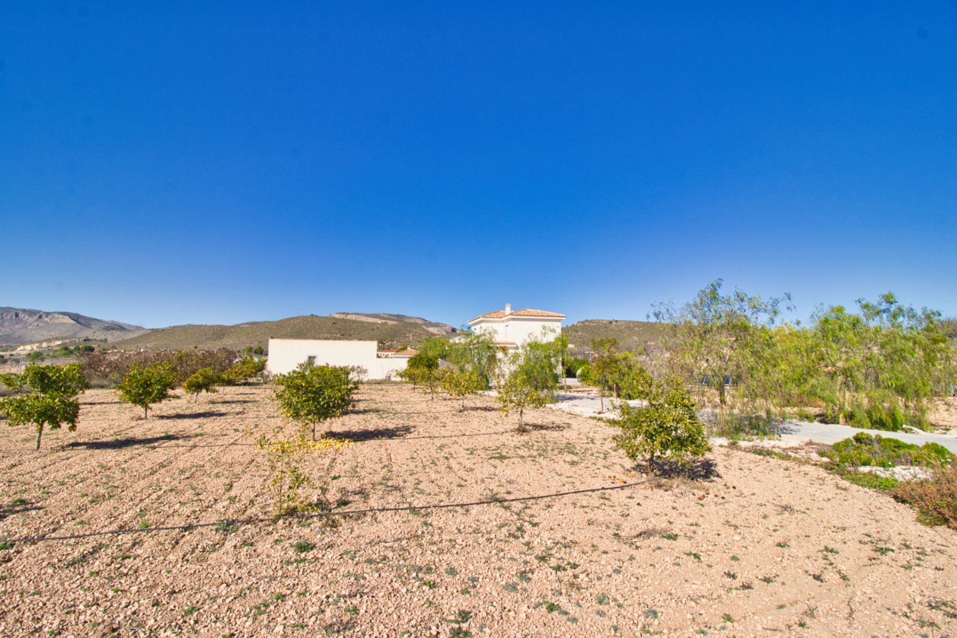 Revente - Maison de campagne -
Hondon De Las Nieves