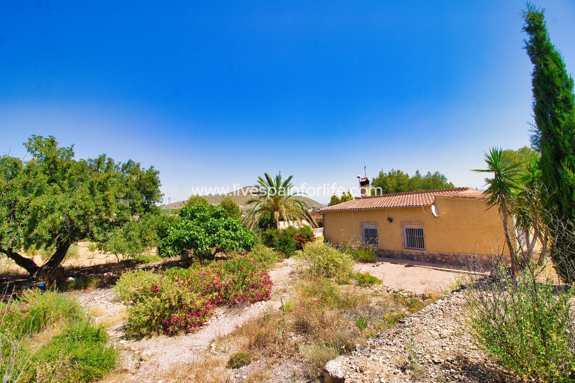 Revente - Maison de campagne -
Hondon De Las Nieves