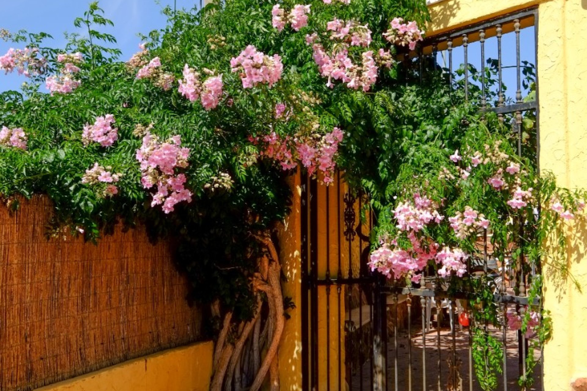 Revente - Maison de campagne -
Hondon De Los Frailes