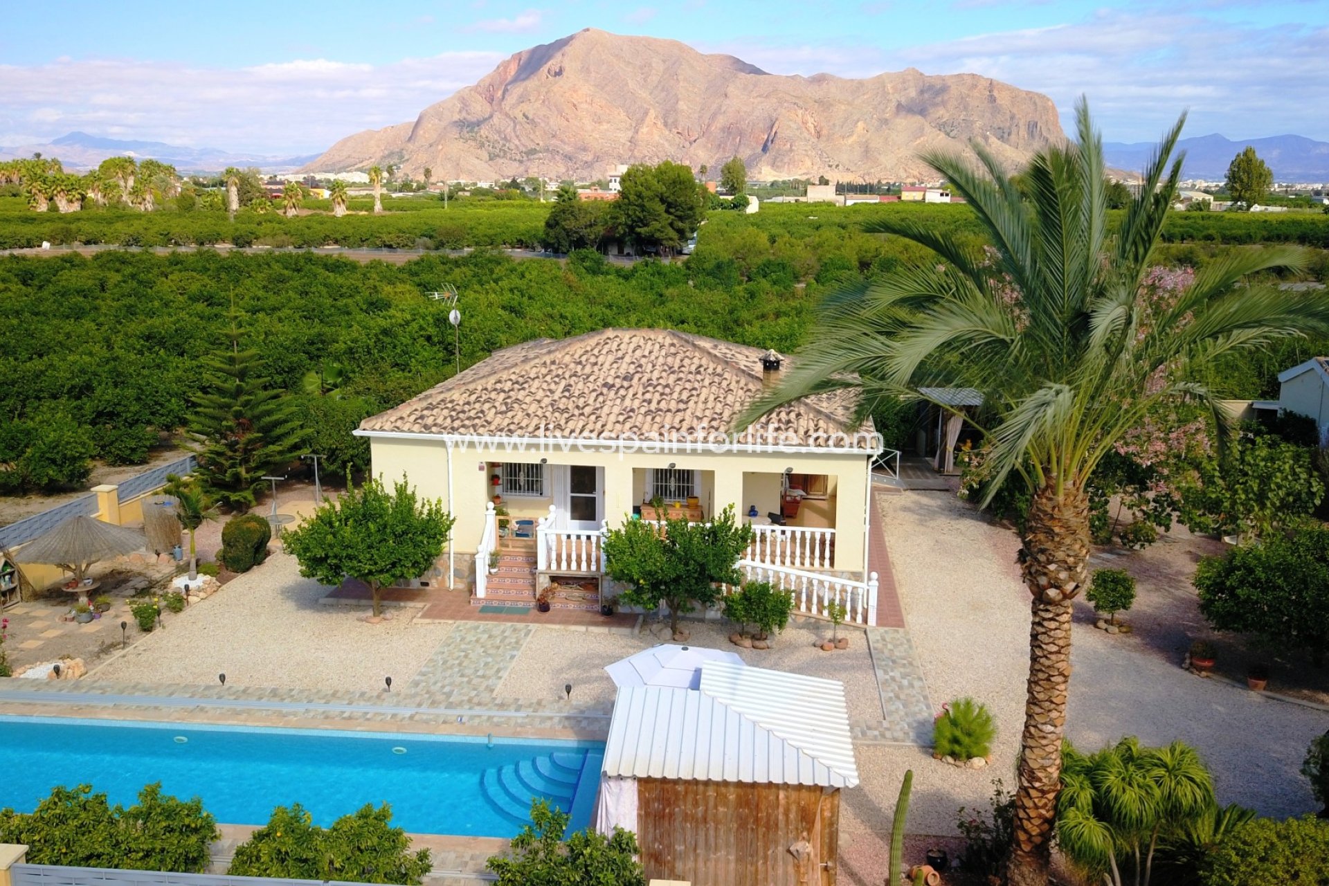 Revente - Maison de campagne -
Orihuela - La Campaneta