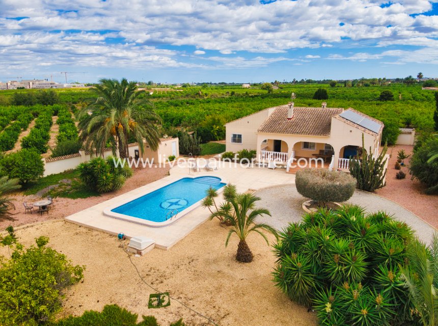 Revente - Maison de campagne -
Orihuela