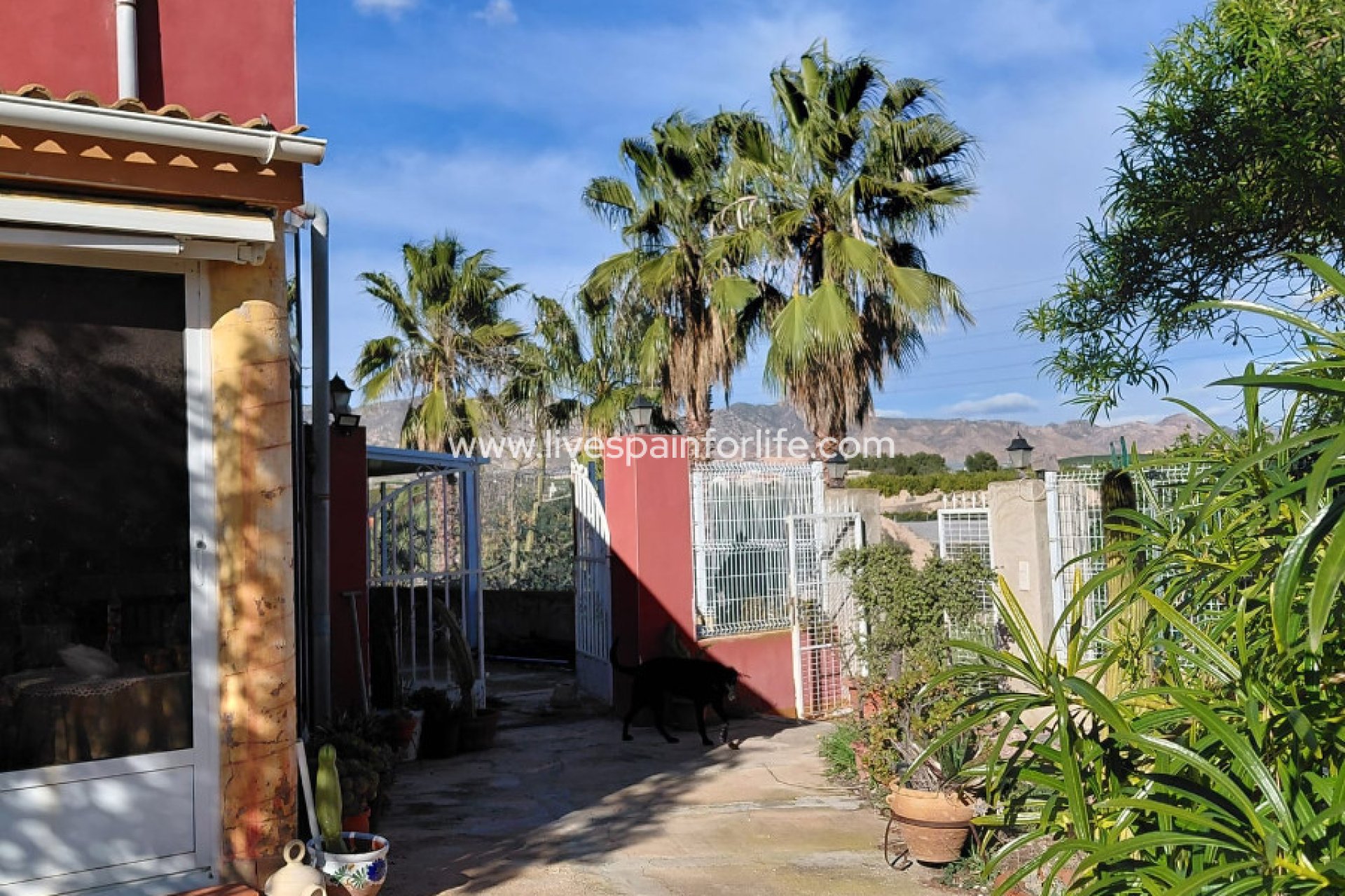 Revente - Maison de campagne -
Orihuela