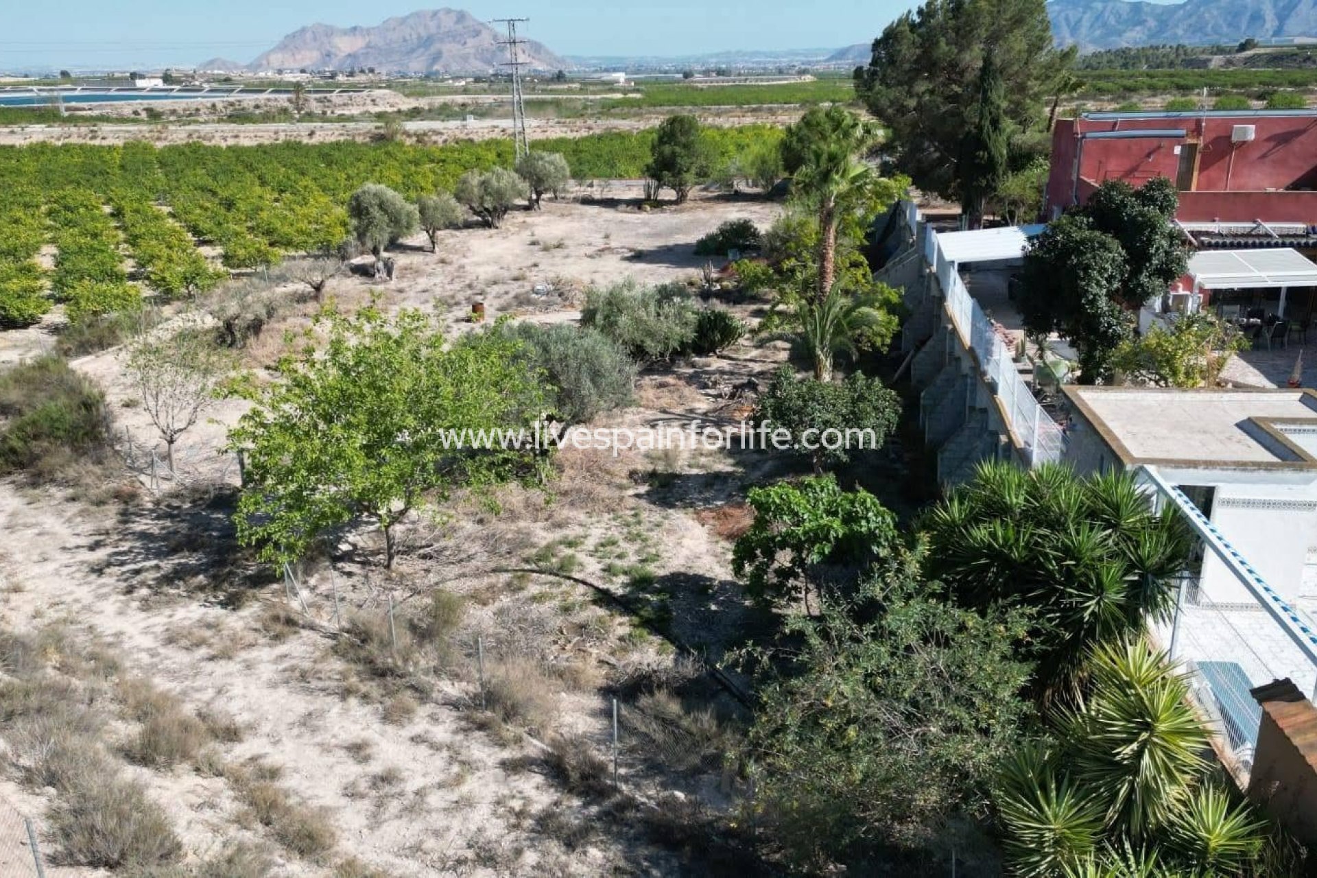 Revente - Maison de campagne -
Orihuela