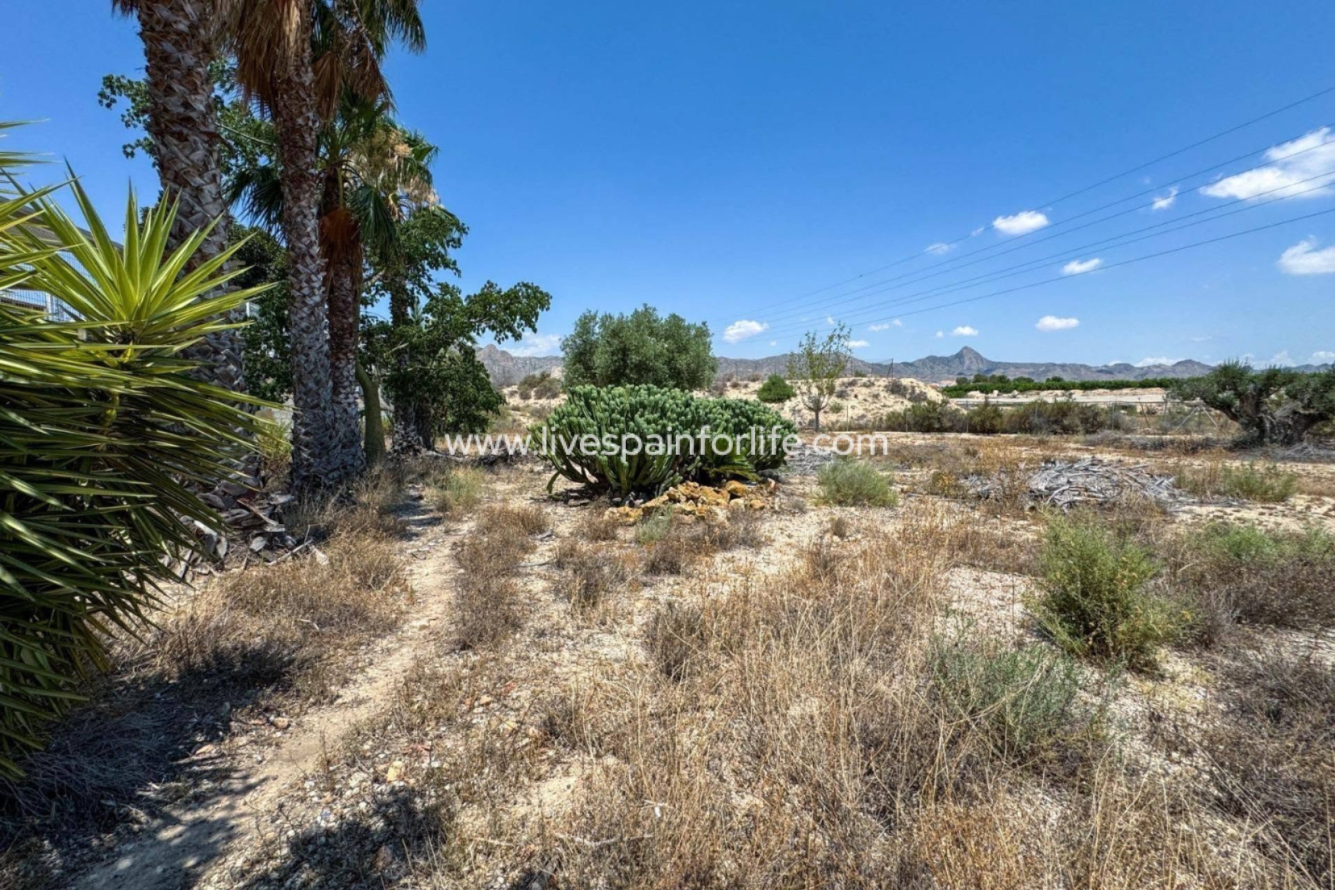 Revente - Maison de campagne -
Orihuela