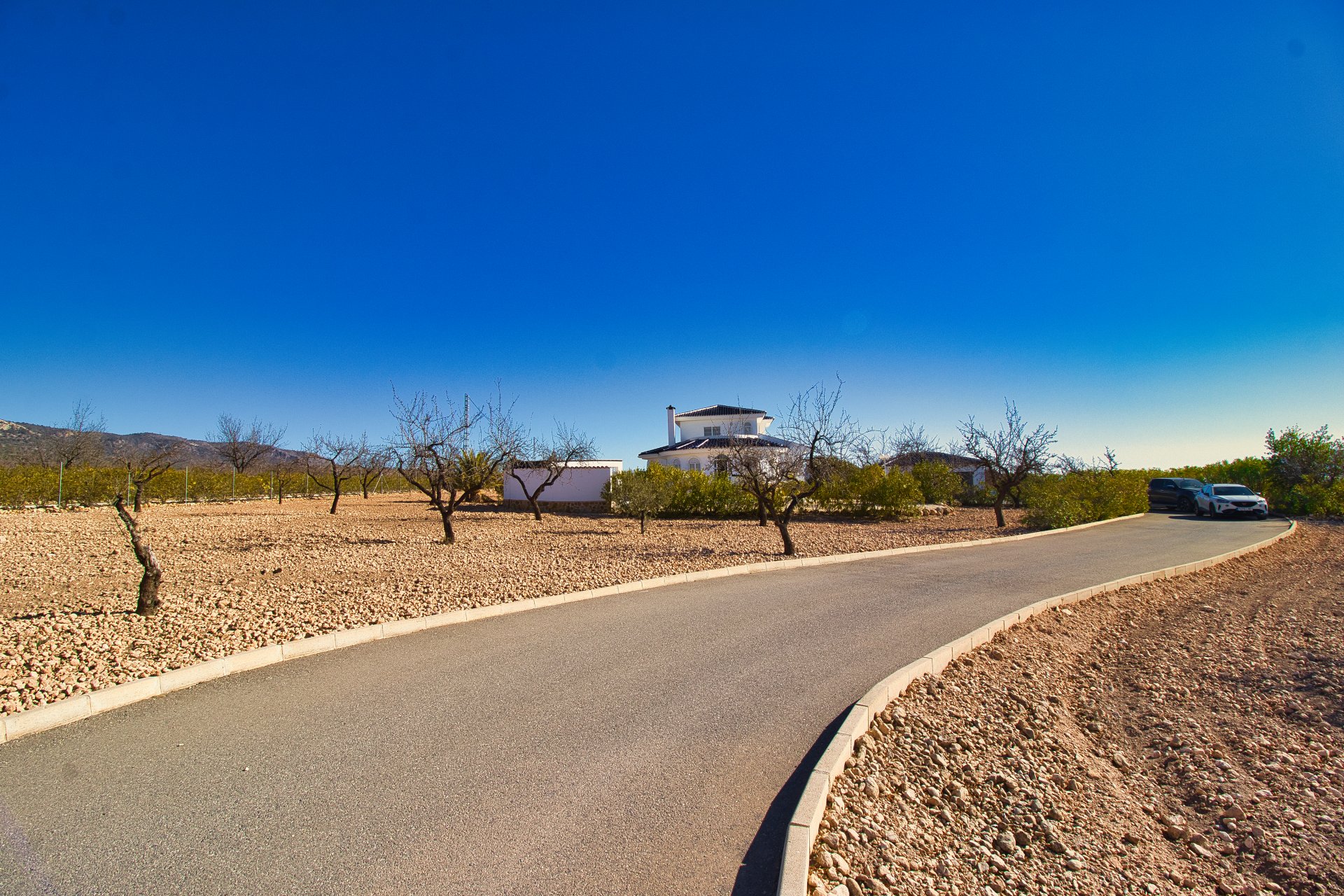 Revente - Maison de campagne -
Pinoso