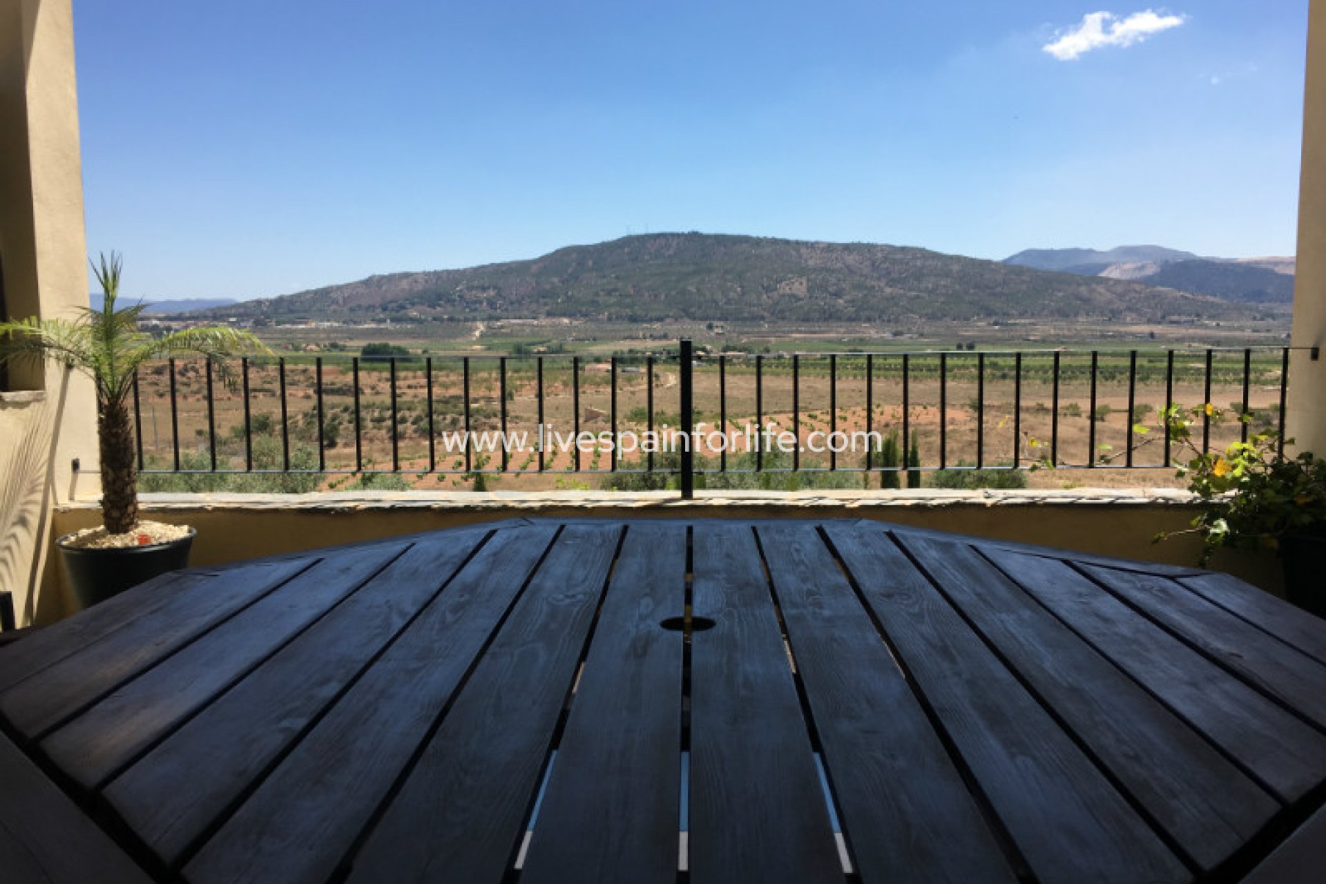 Revente - Maison de campagne -
Pinoso