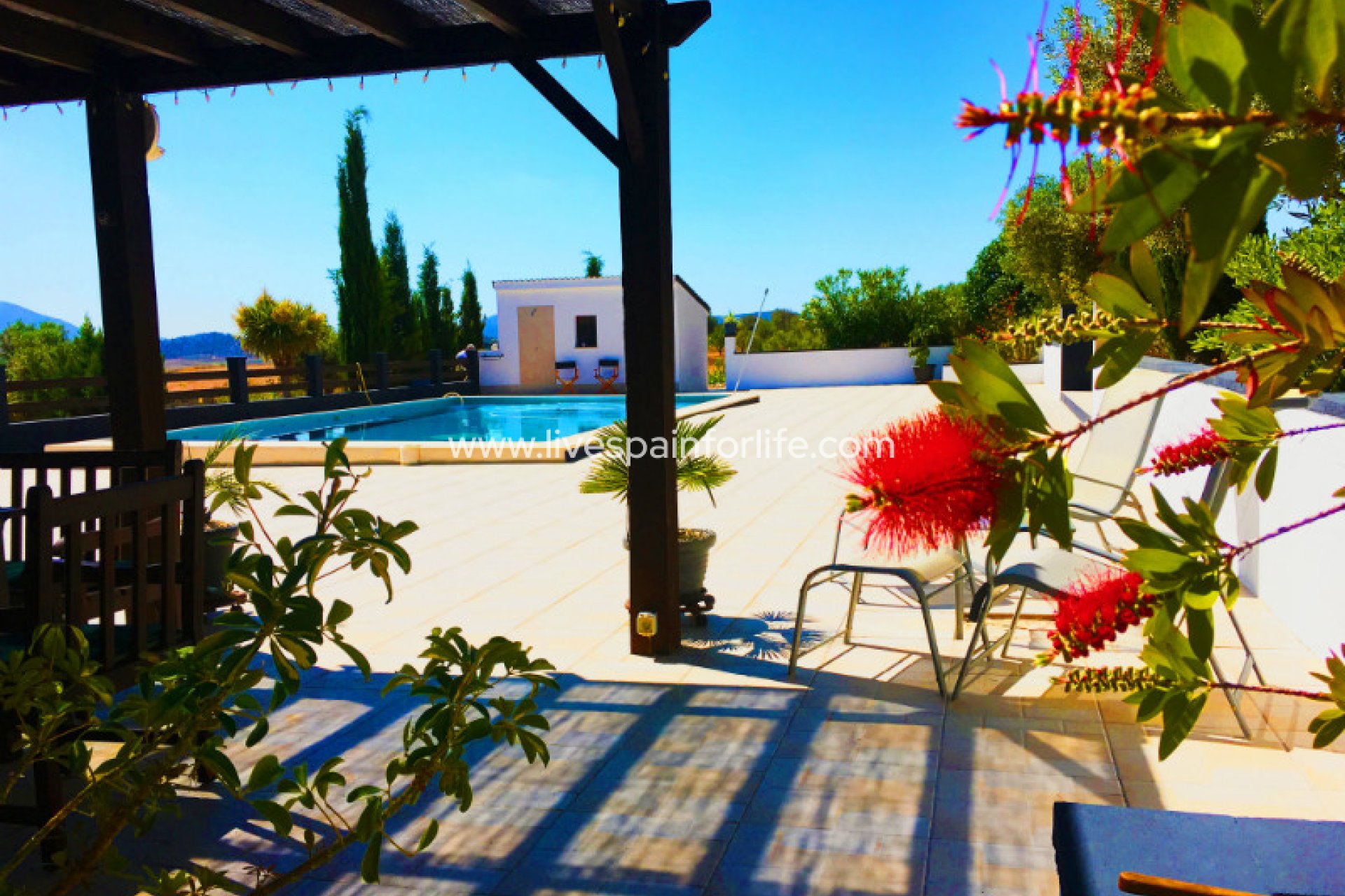 Revente - Maison de campagne -
Pinoso