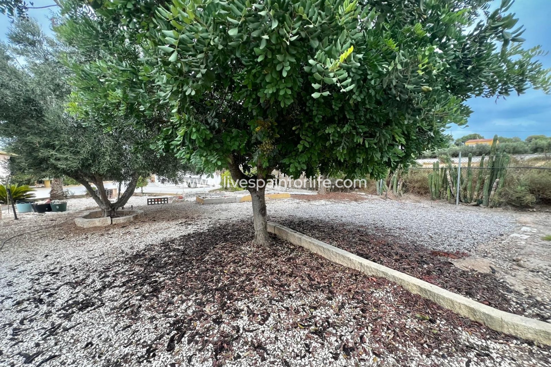 Revente - Maison de campagne -
San Fulgencio - San Fulgencio - Country
