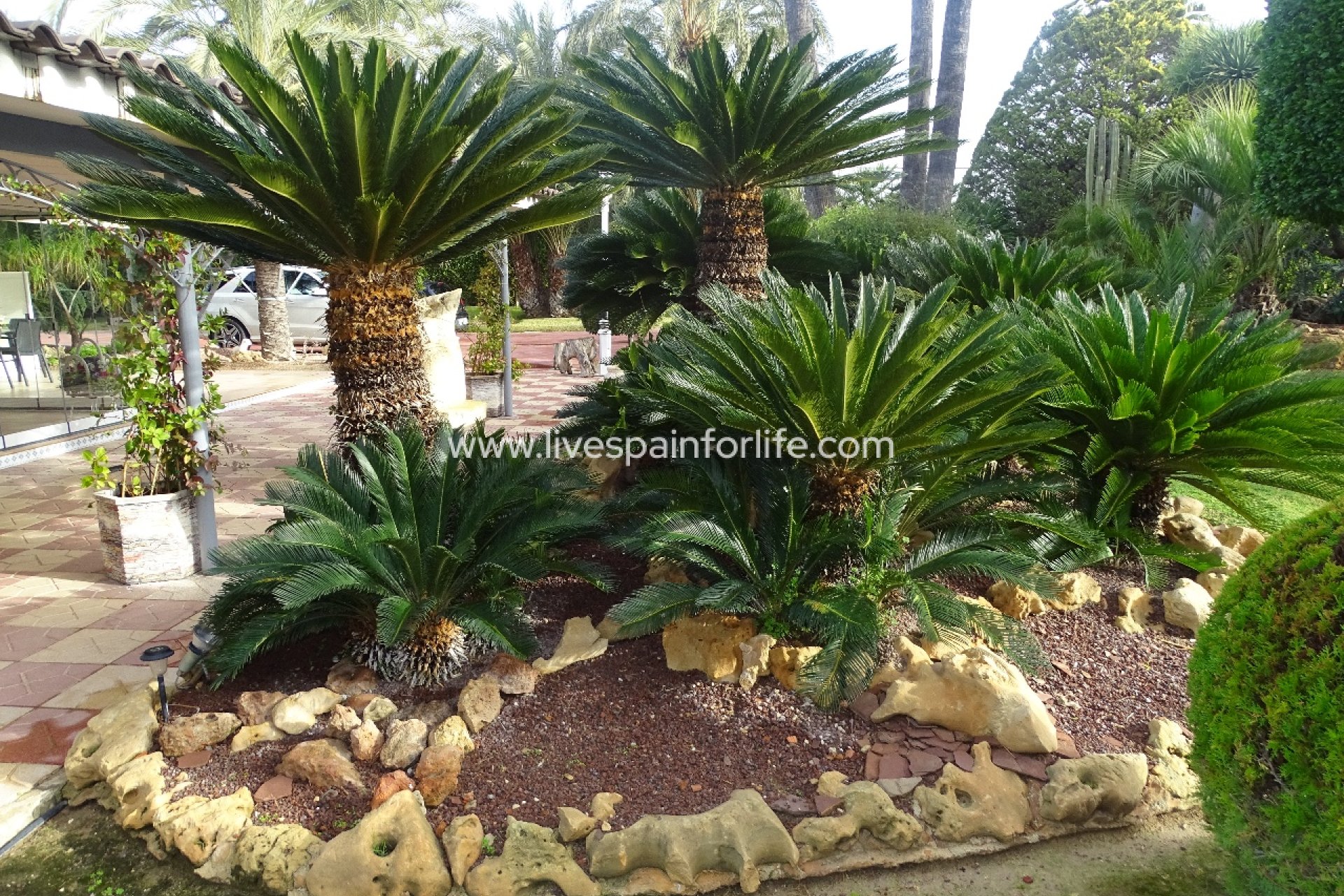 Revente - Maison de campagne -
Santa Pola