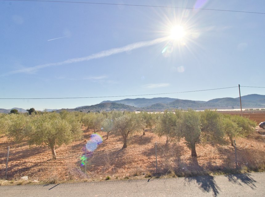 Revente - Plot of Land -
Hondon De Las Nieves