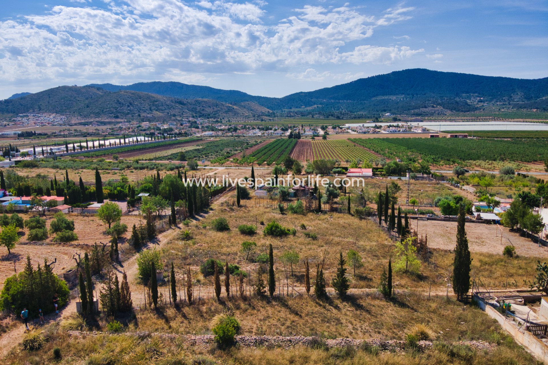Revente - Plot of Land -
Hondon De Las Nieves