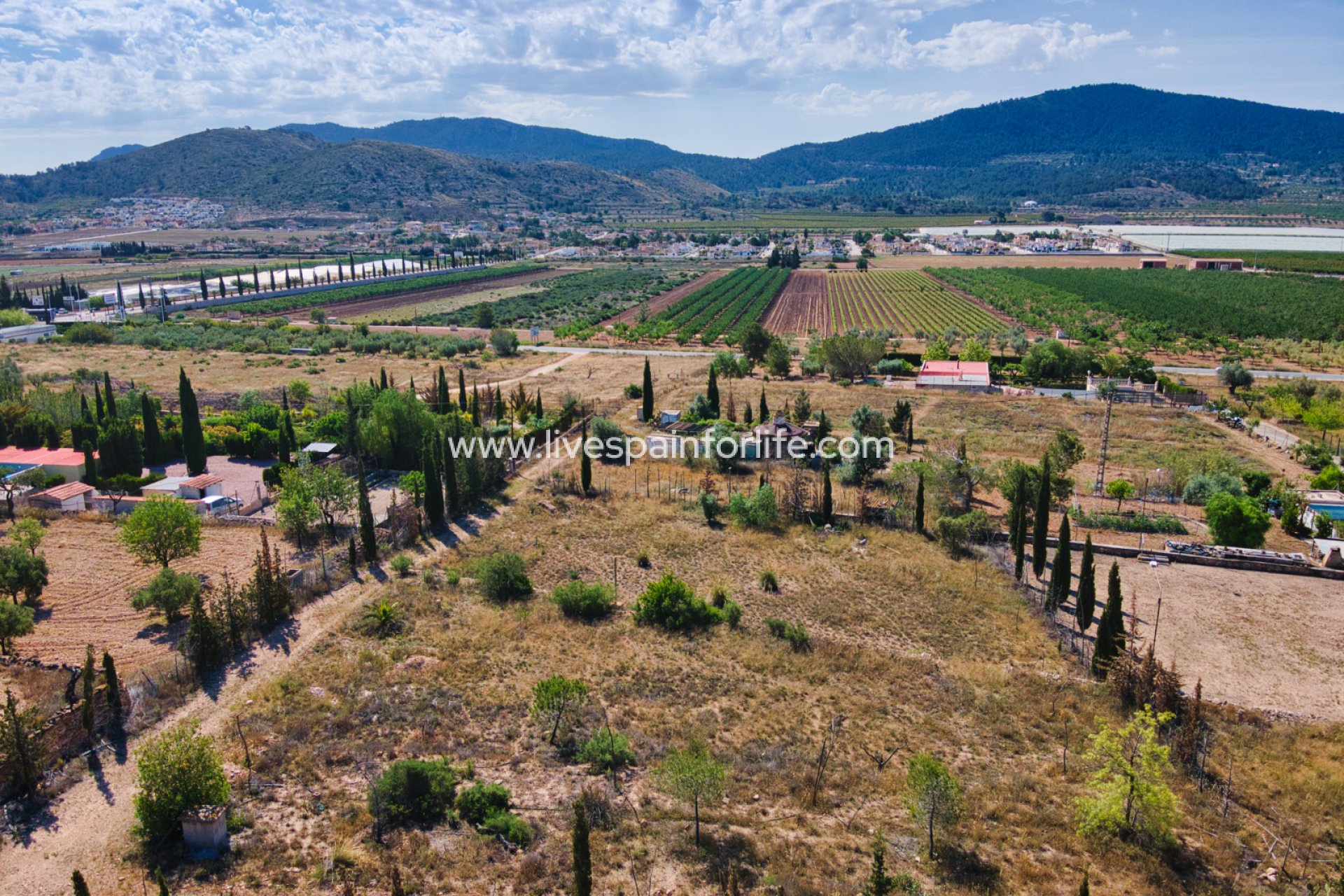 Revente - Plot of Land -
Hondon De Las Nieves